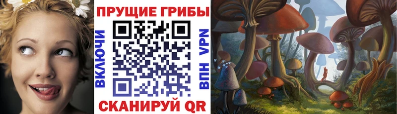 Псилоцибиновые грибы Psilocybe  hydra вход  Полысаево 